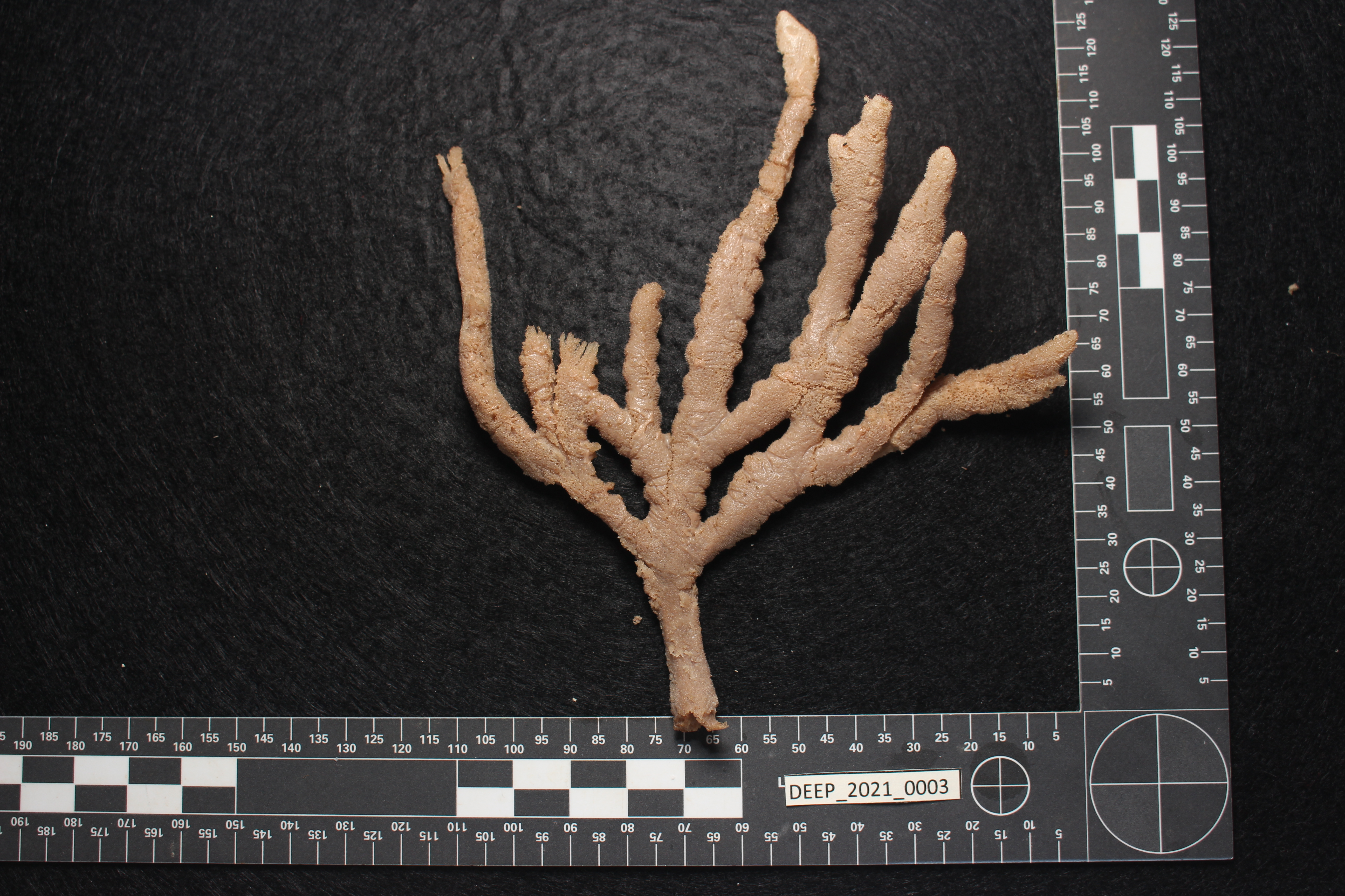 Gallery image 1 of 1