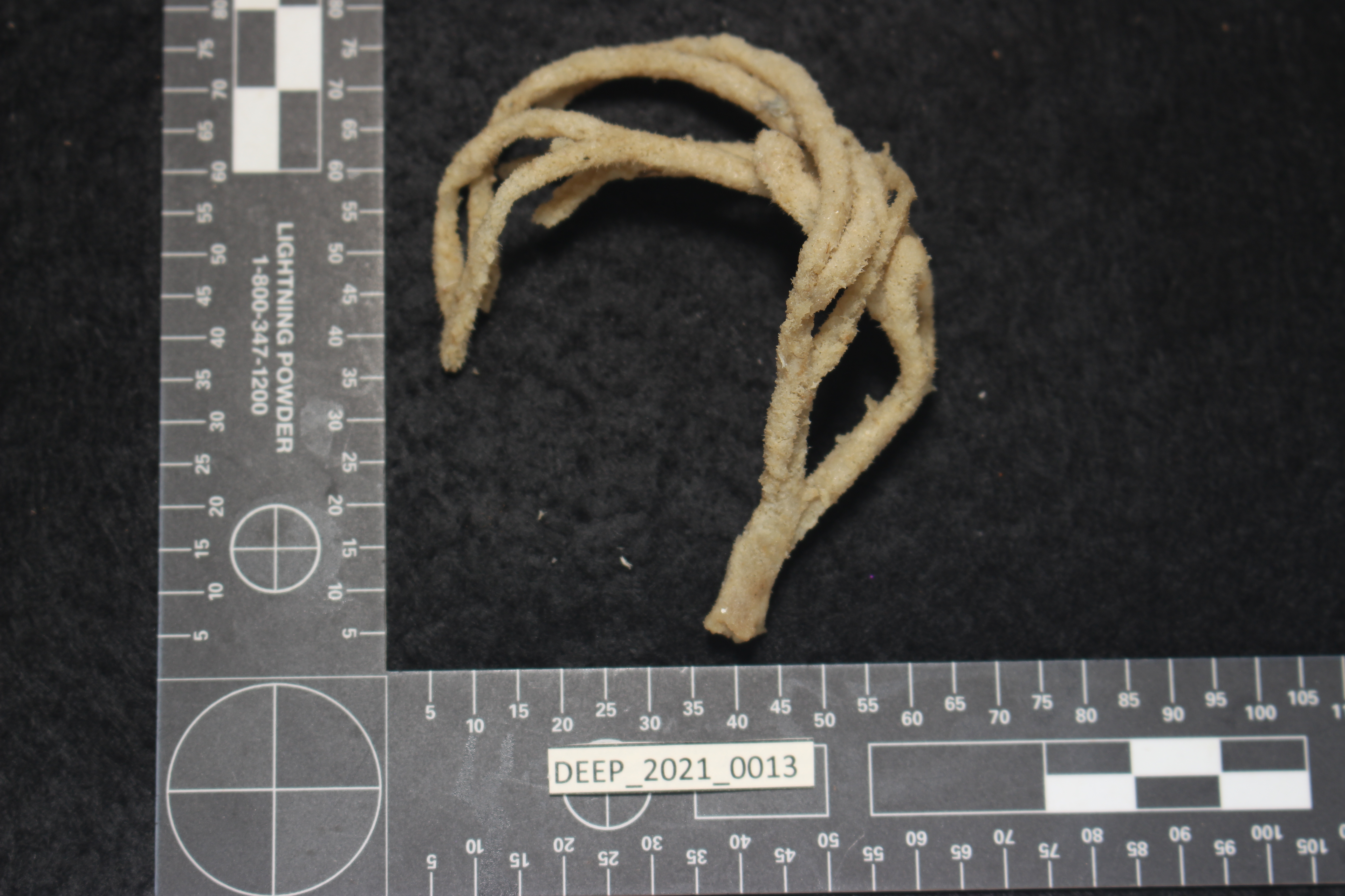 Gallery image 1 of 1