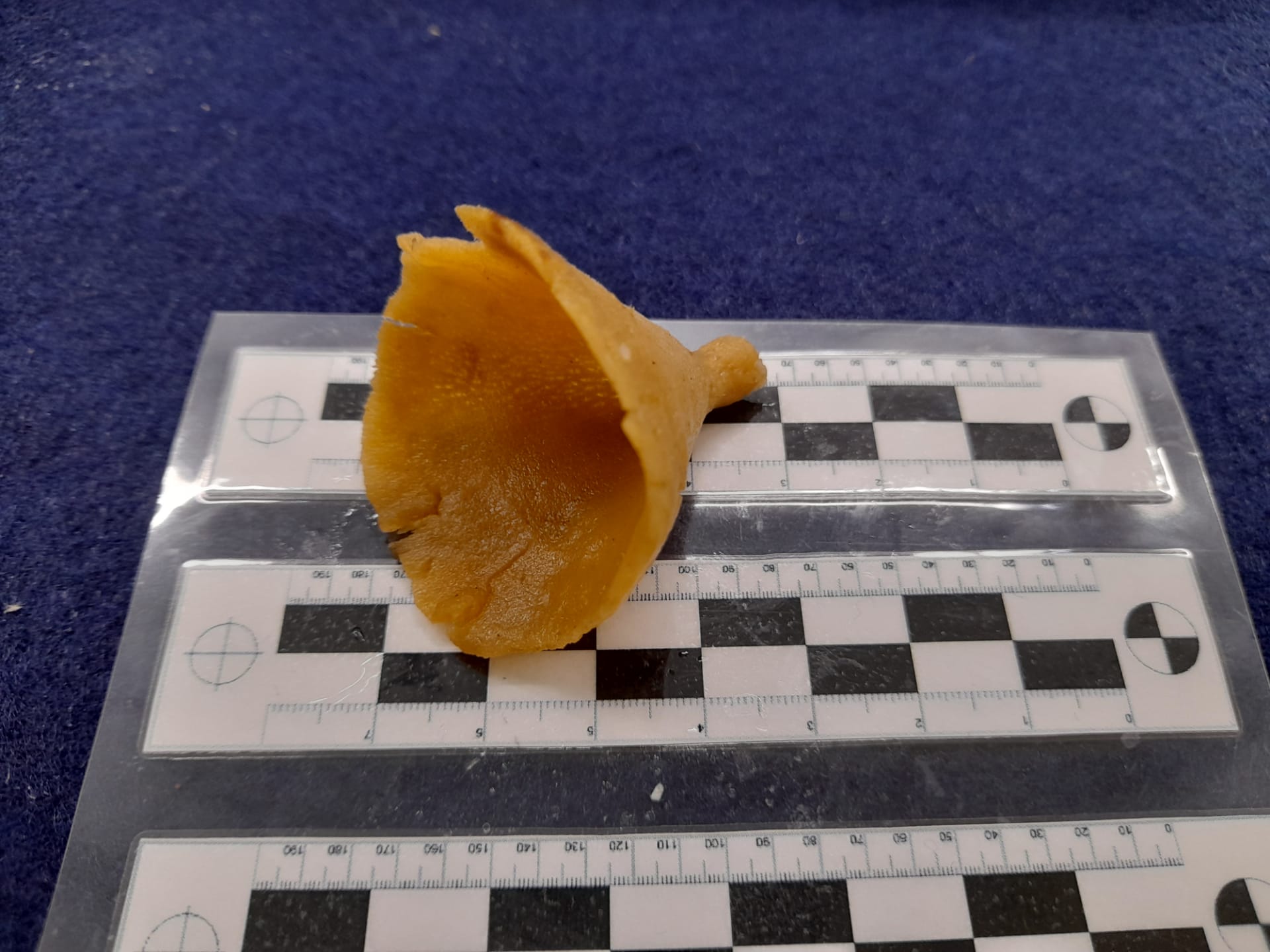 Gallery image 1 of 1