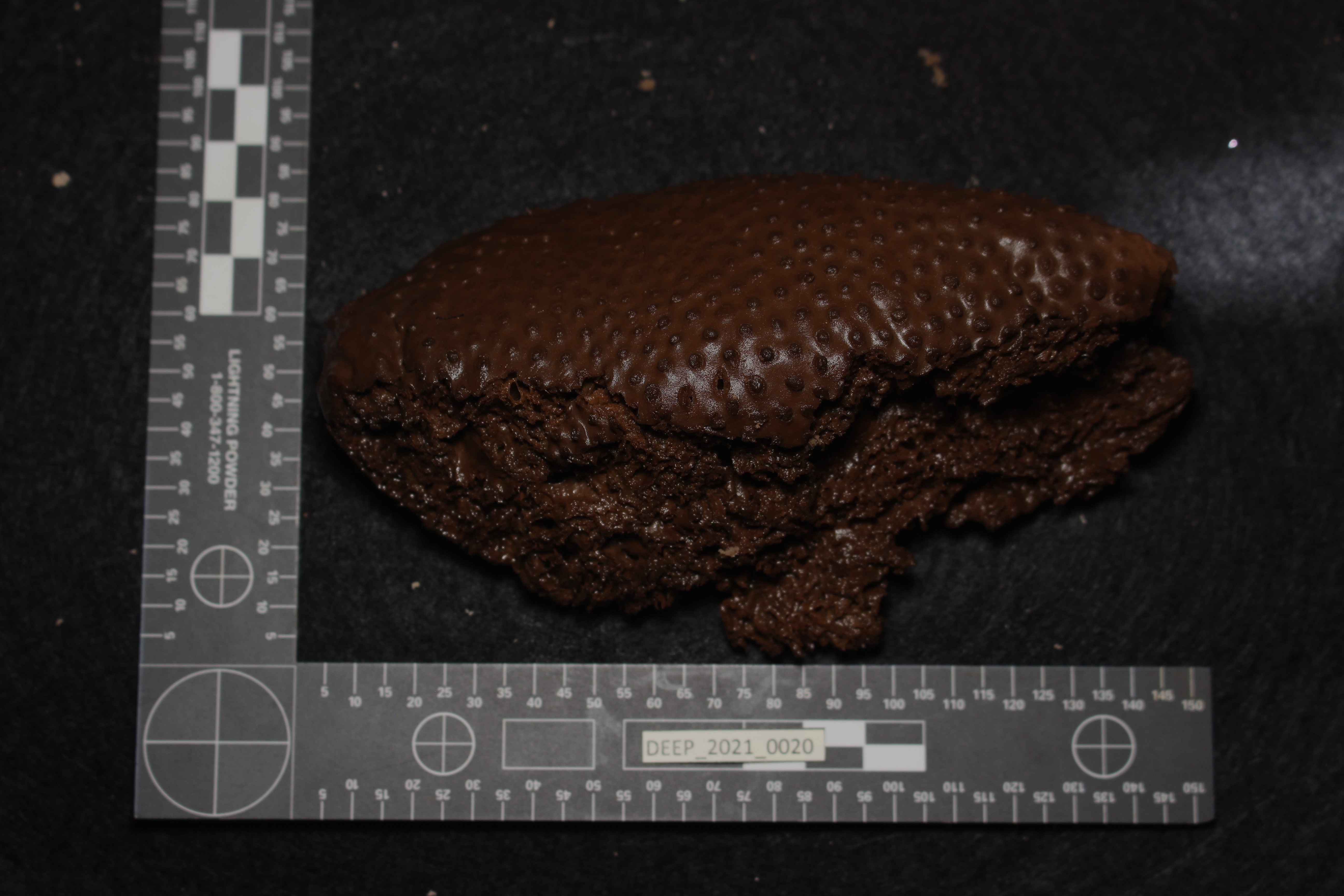 Gallery image 1 of 1