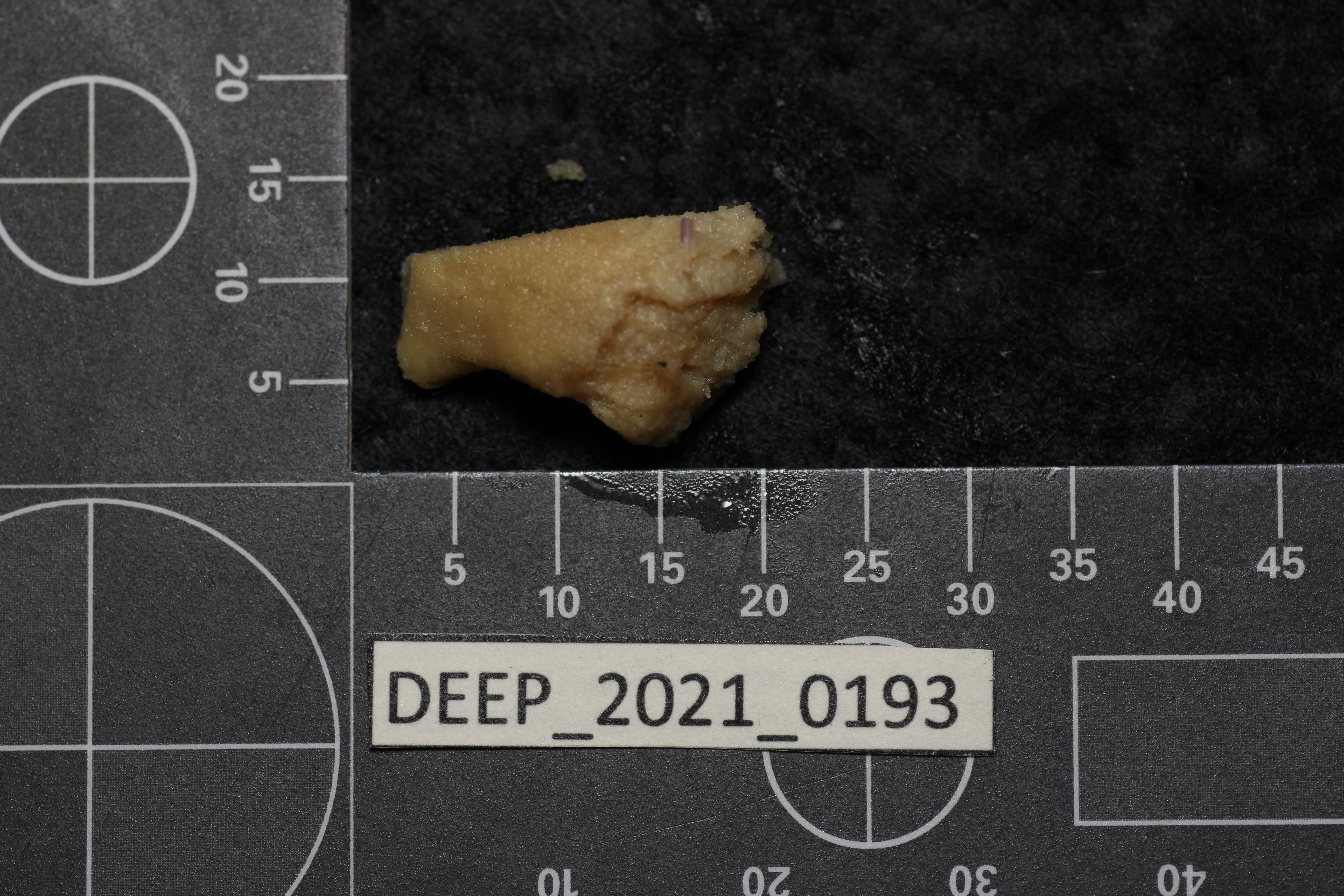 Gallery image 1 of 1